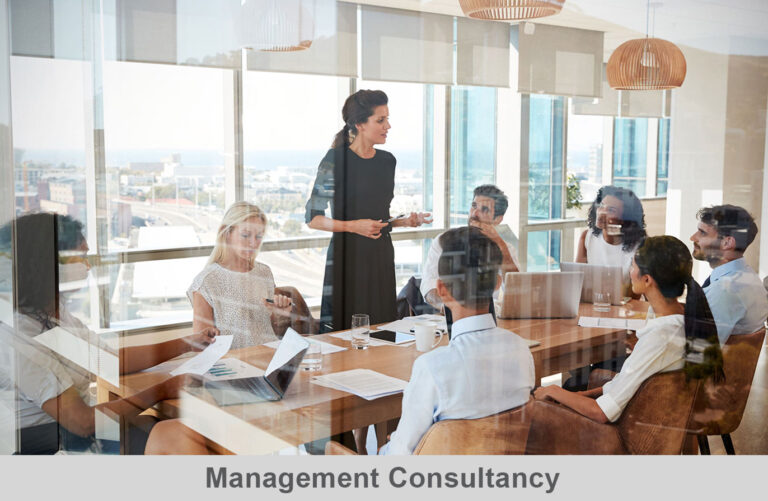 We offer specialized expertise to assist clients in enhancing their performance and achieving their objectives. We excel in solving complex problems, providing strategies, and offering recommendations for various aspects of their business. We work closely with clients to identify areas of improvement, develop effective strategies, and efficiently implement solutions that enhance business performance, streamline operations, and optimize cost management. Additionally, we provide guidance in regulatory compliance, risk management, and other relevant matters.